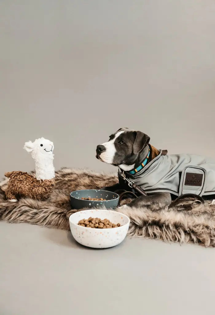 KENTUCKY DOGWEAR | Reflective & Water Repellent Dog Coat - Silver