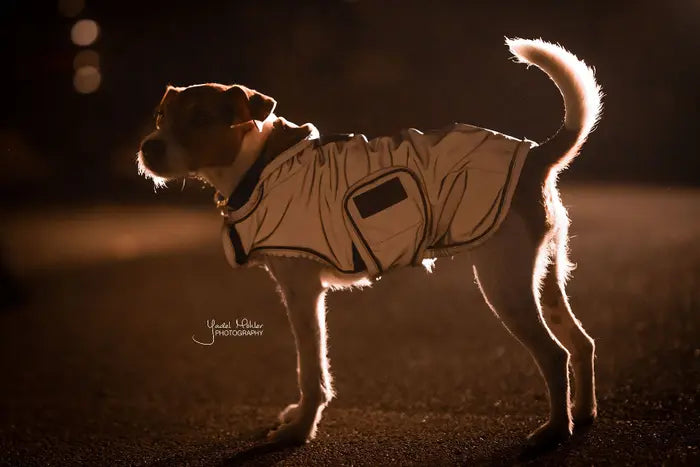 KENTUCKY DOGWEAR | Reflective & Water Repellent Dog Coat - Silver