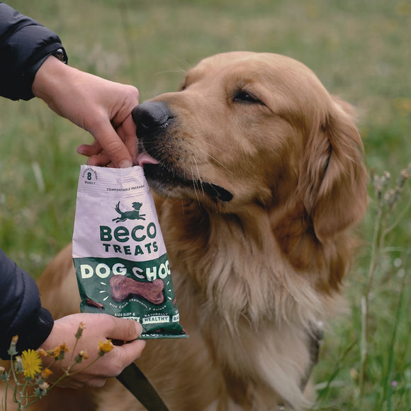 BECO TREATS | Dog Choc with Camomile & Quinoa
