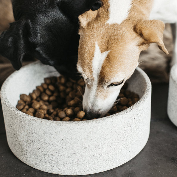 KENTUCKY DOGWEAR | Granite Dog Bowl