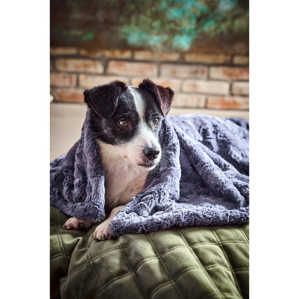 COSY | Deken - Stone