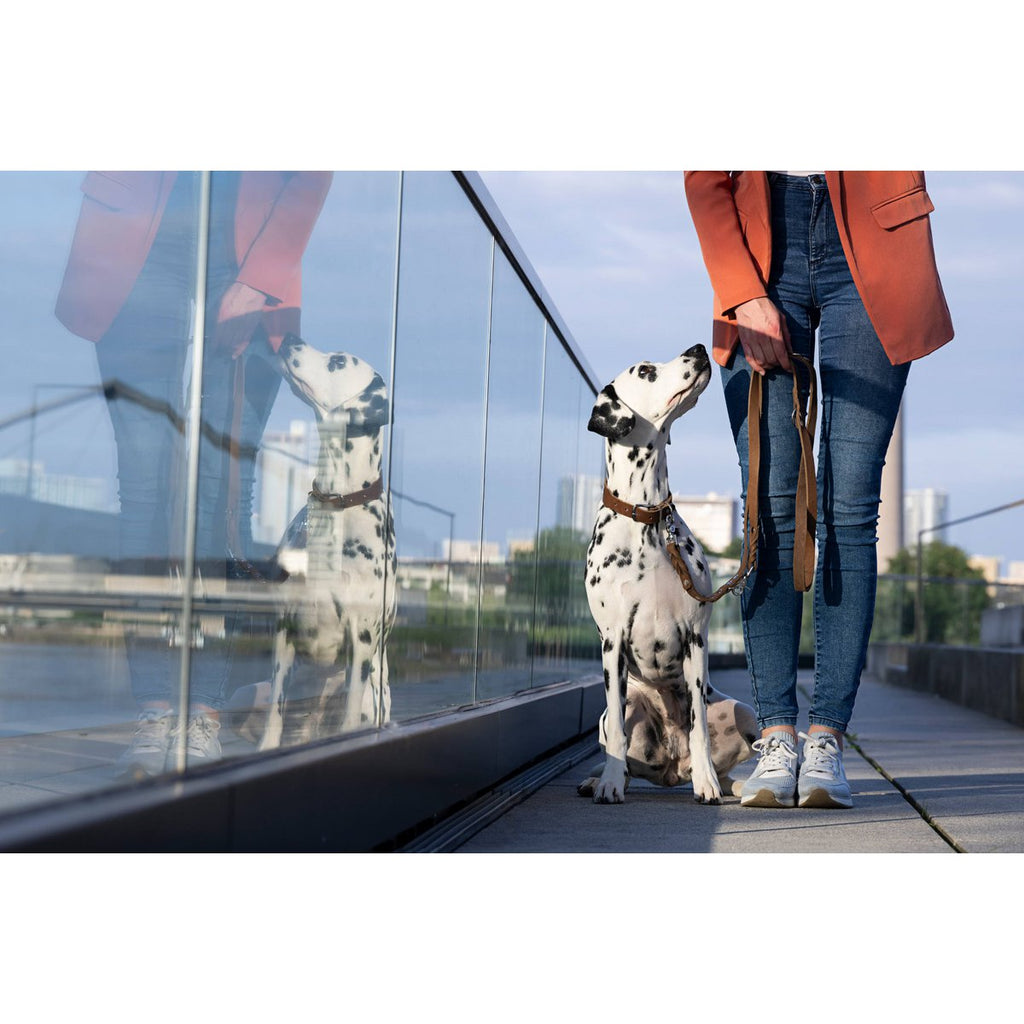 GIRO | Leren Halsband - Mokka