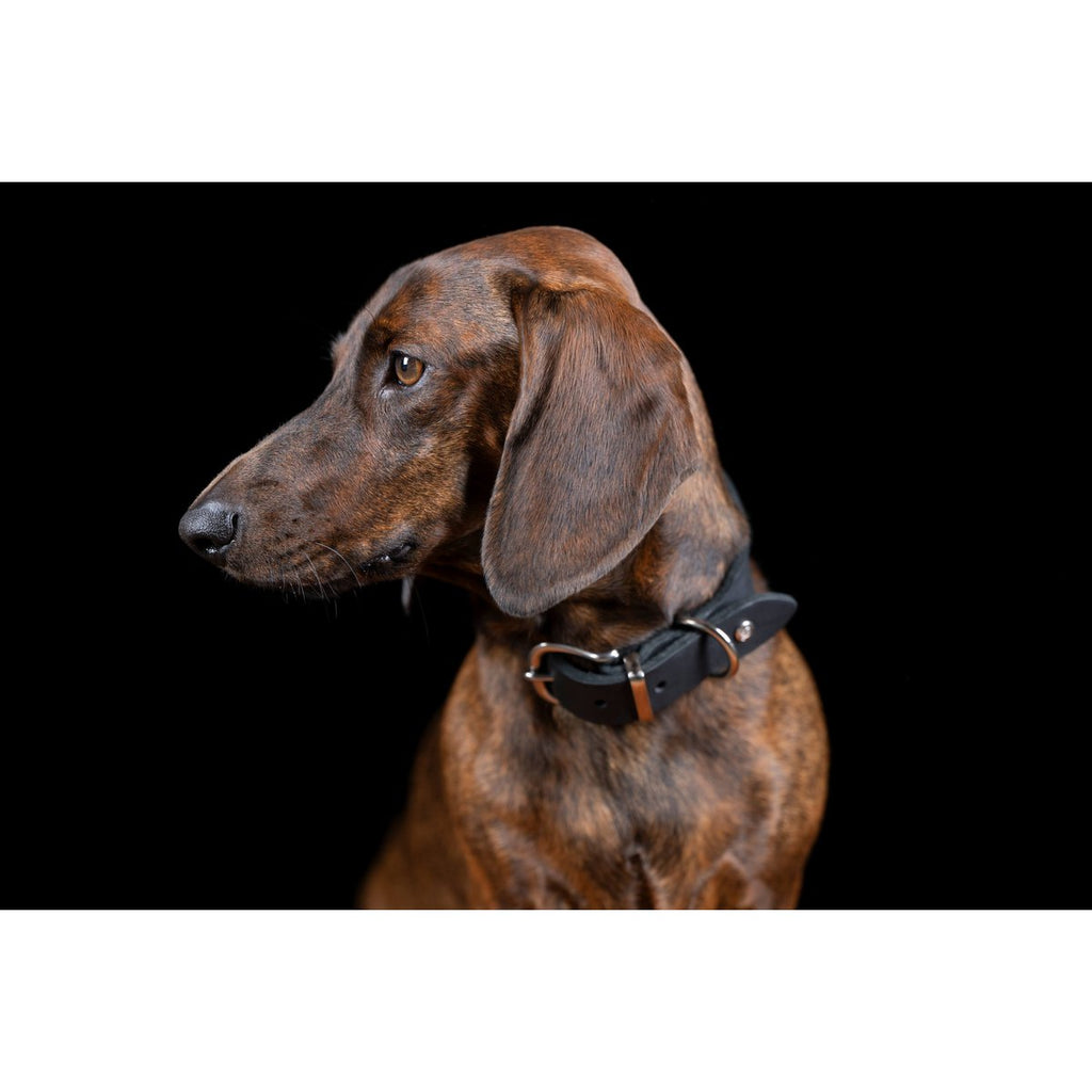 GIRO | Leren Halsband - Zwart