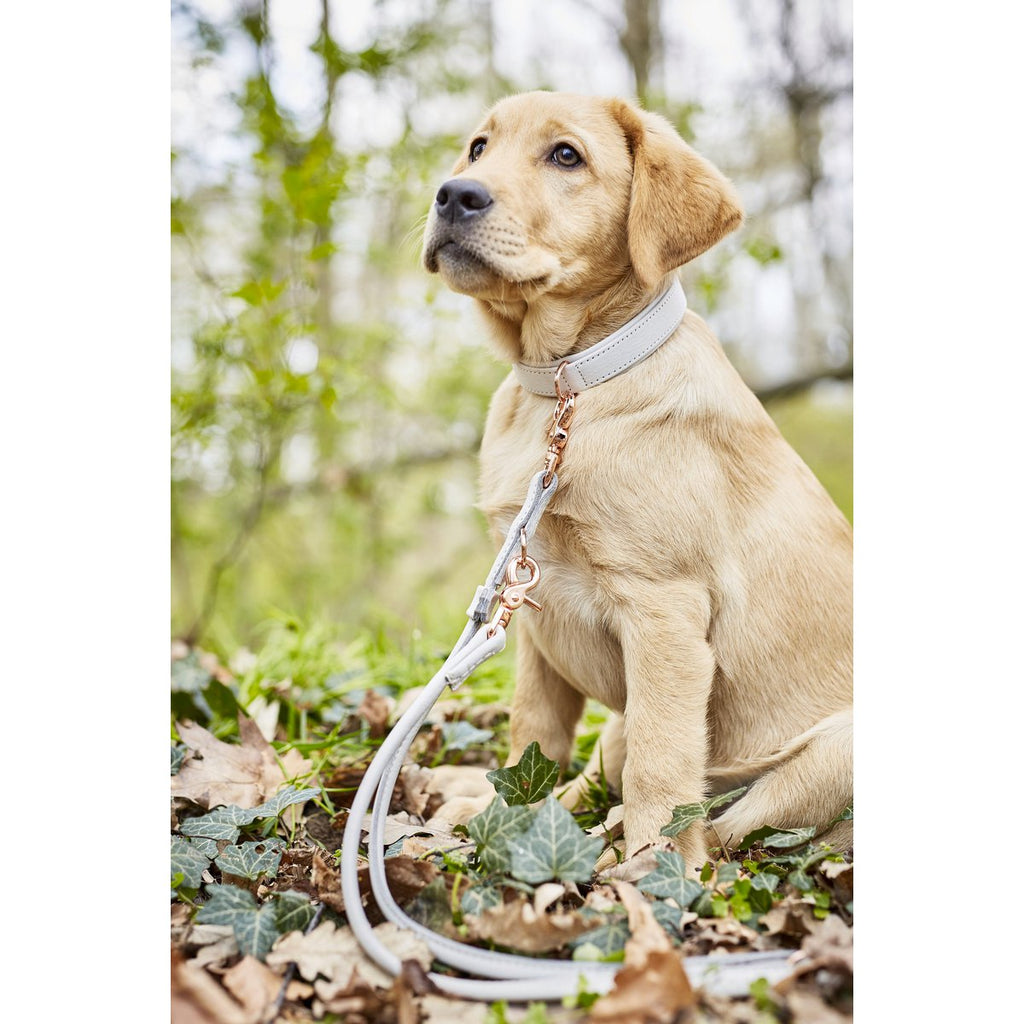 AMICI | Nappa Halsband - Lichtgrijs