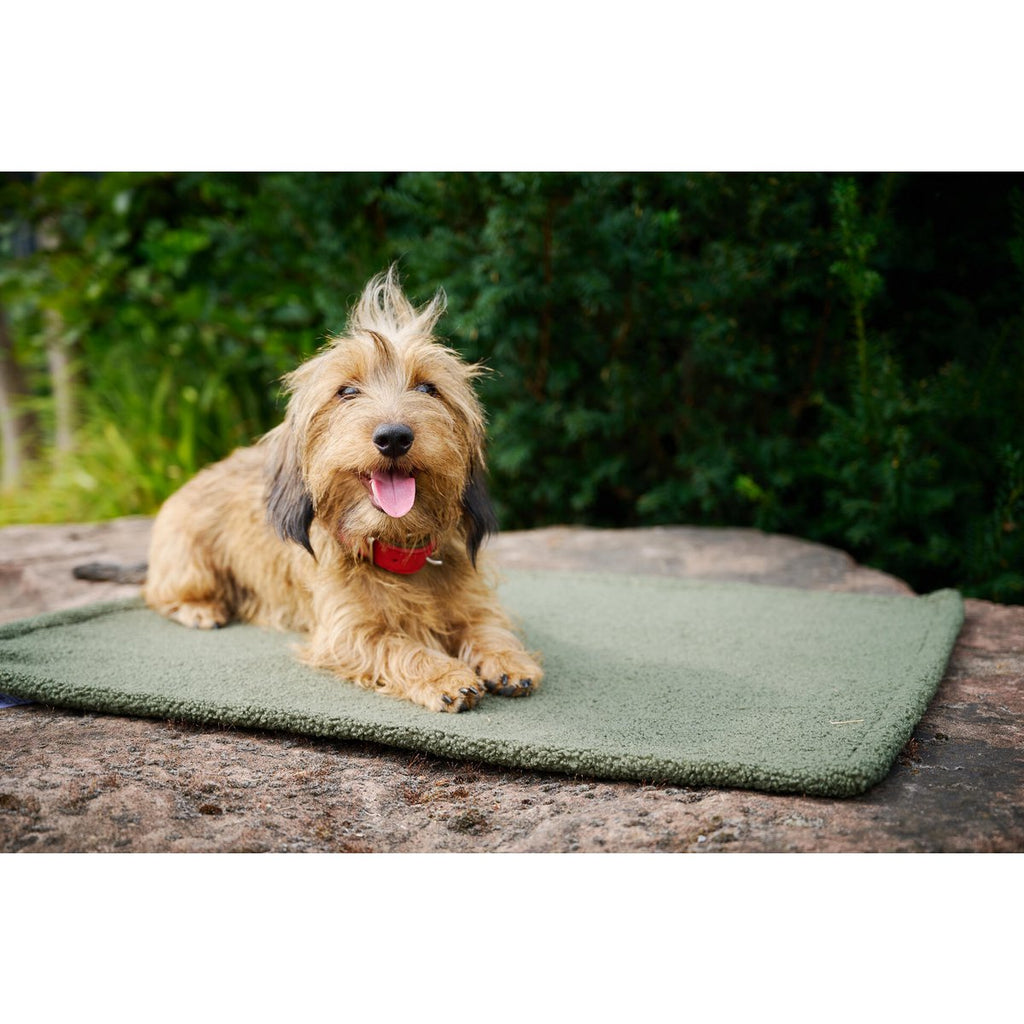 TEDDY | Multifunctioneel Deken - Groen