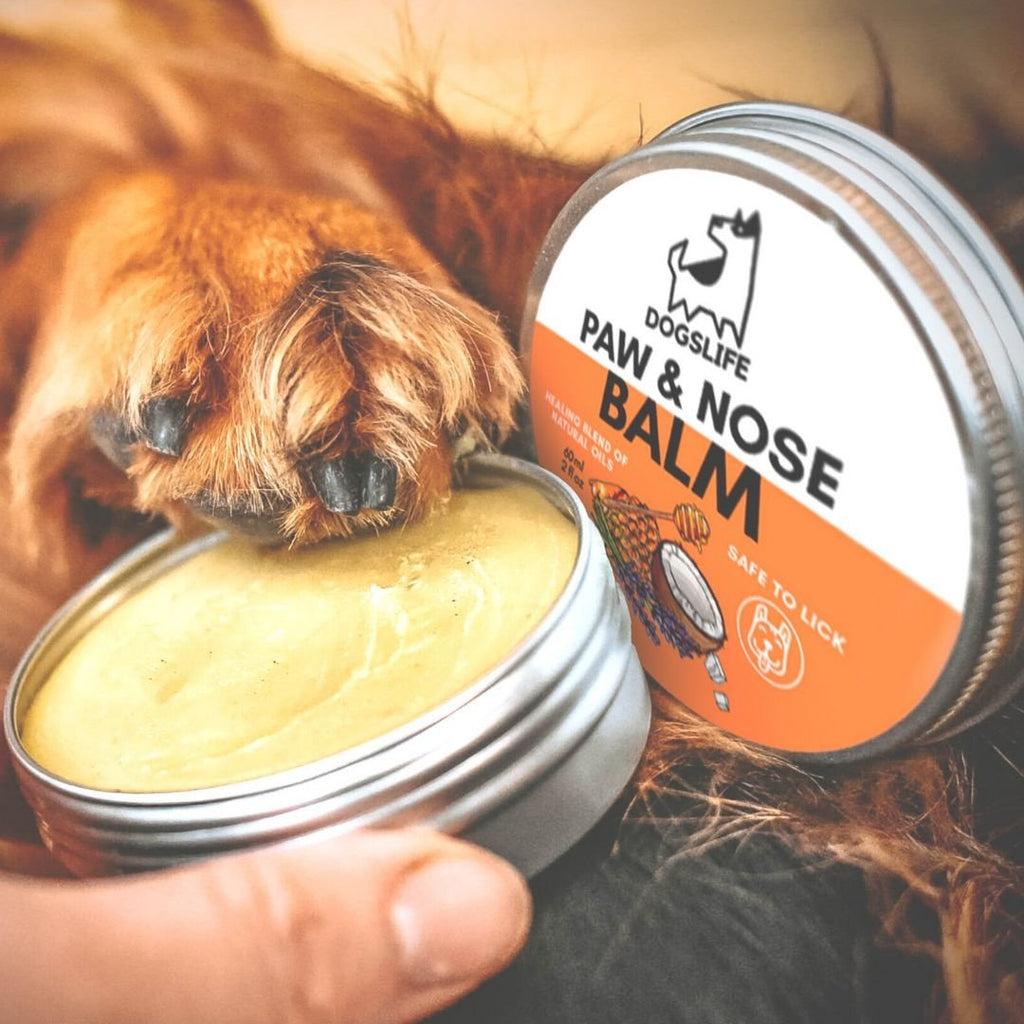 DOGSLIFE | Paw & Nose Balm