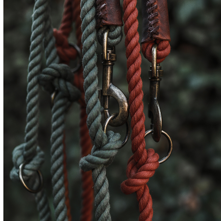 TWISTED COTTON | Verstelbare Hondenriem - Rusty Red