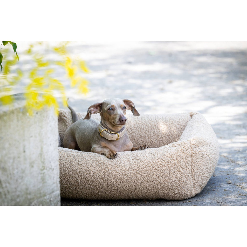 TEDDY | Hondenbed - Cream