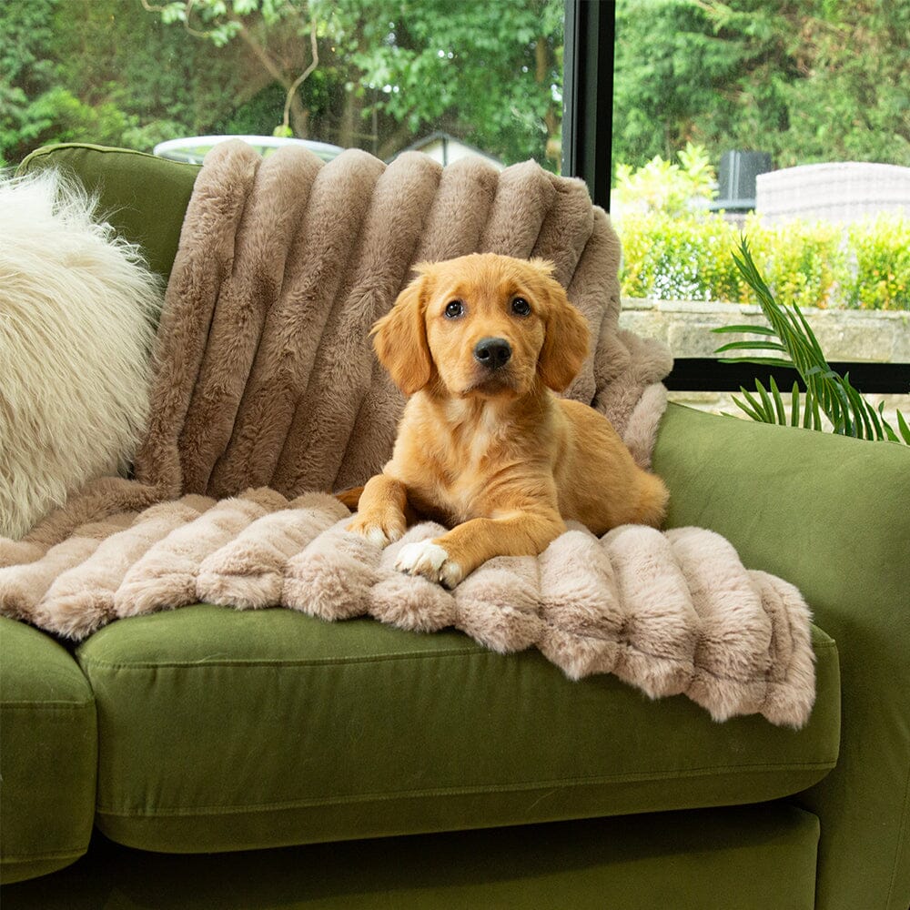 SCRUFFS | Aspen Blanket – Taupe