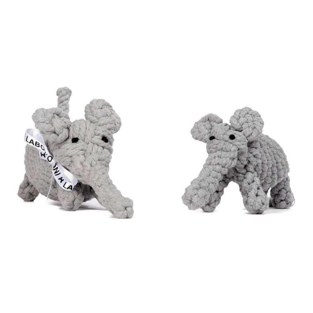 Elton Elephant