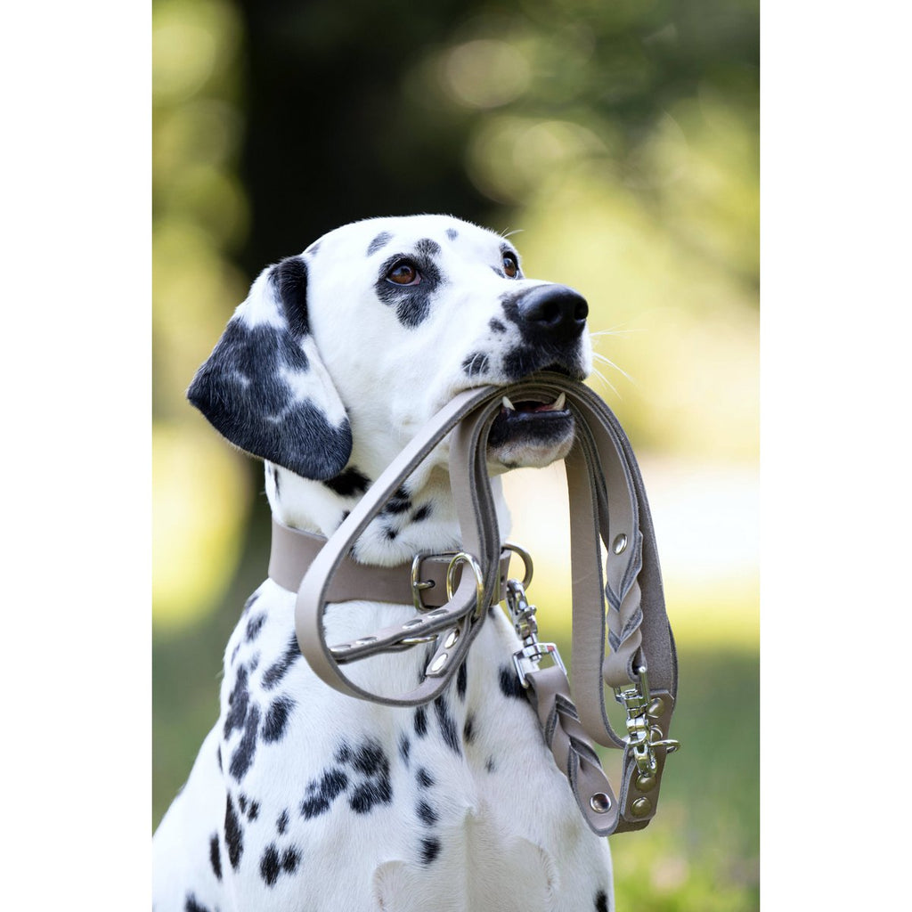 GIRO | Leren Halsband - Grijs