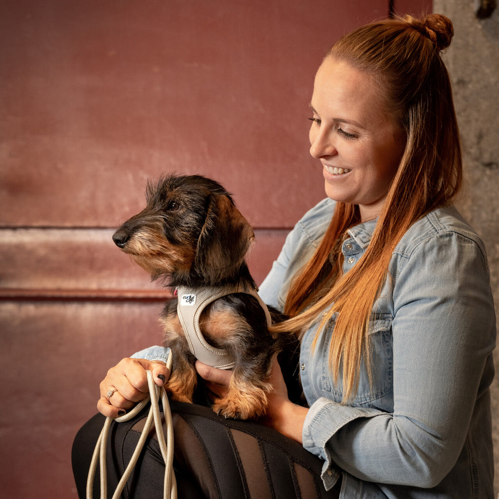 CURLI | Vest Harness Clasp Air-Mesh - Fuchsia