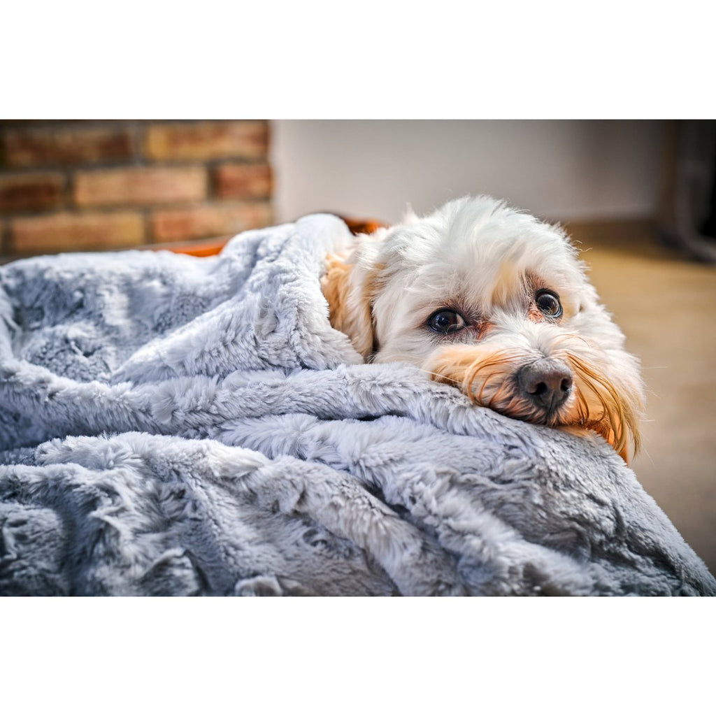 COSY | Deken - Light Grey