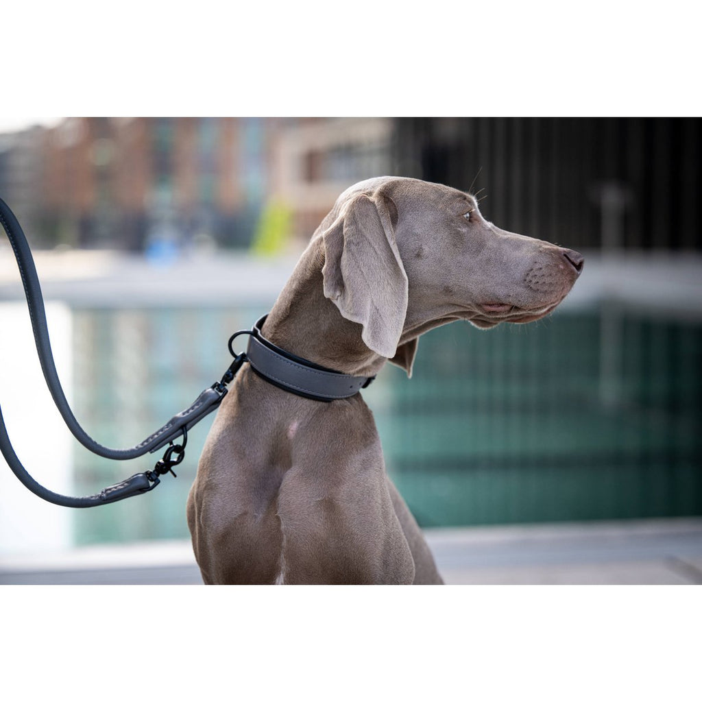 AMICI | Nappa Halsband - Antraciet