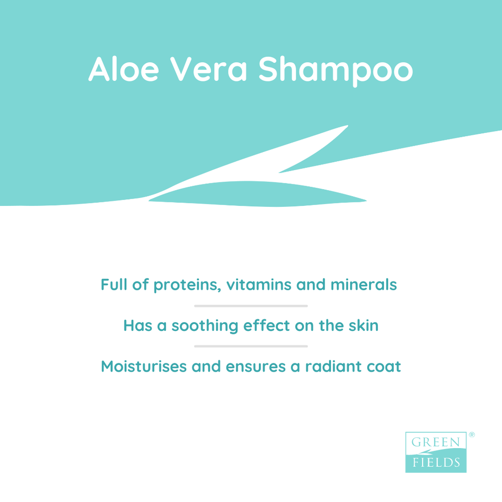 GREENFIELDS | Aloe Vera Shampoo