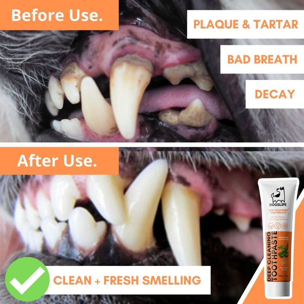 DOGSLIFE | Dental Kit