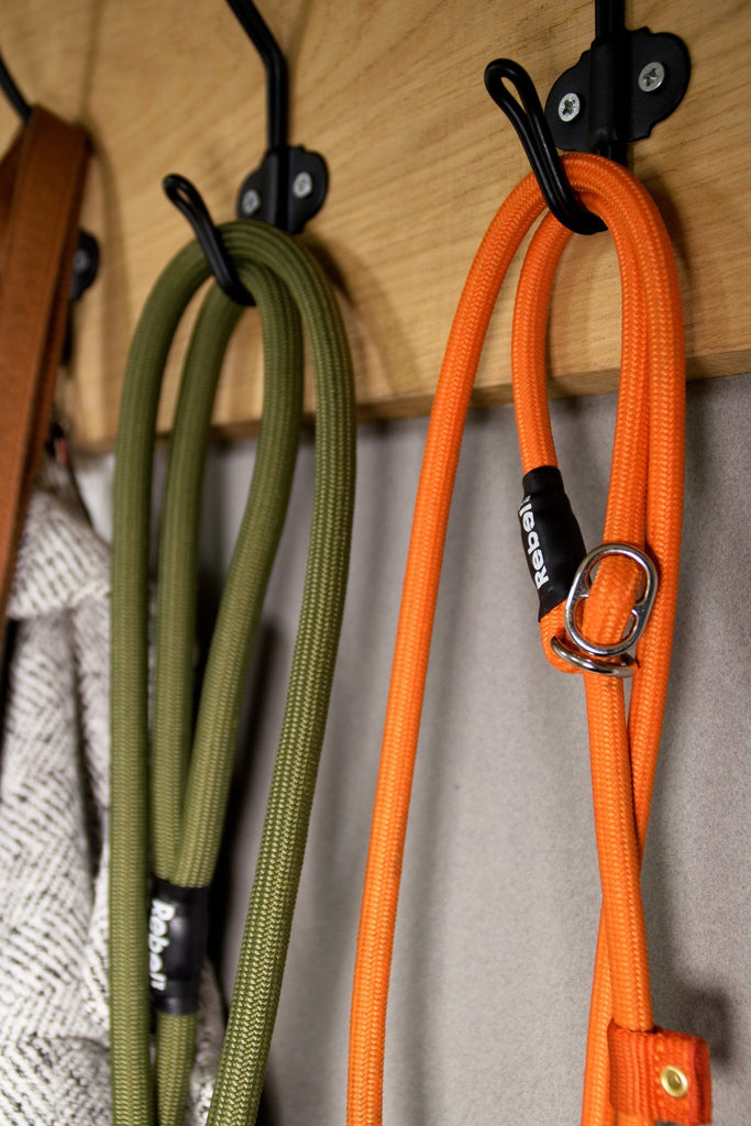 REBEL PETZ | Training Leash - Oranje
