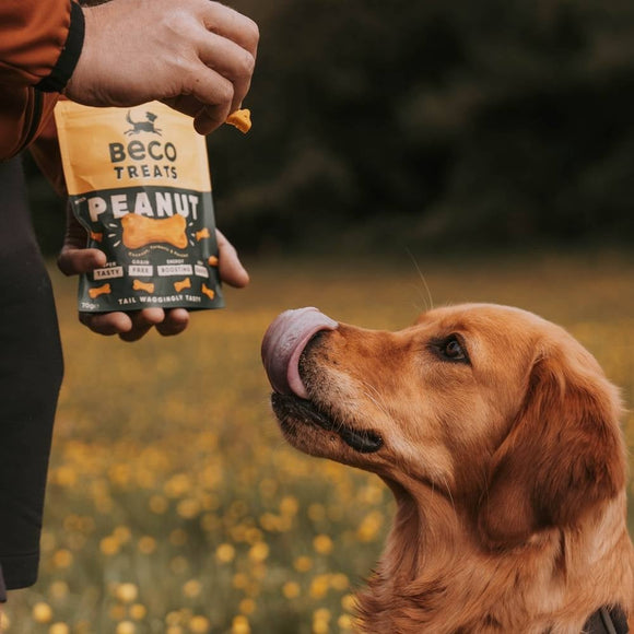 BECO | Treats - Peanut with Coconut & Turmeric