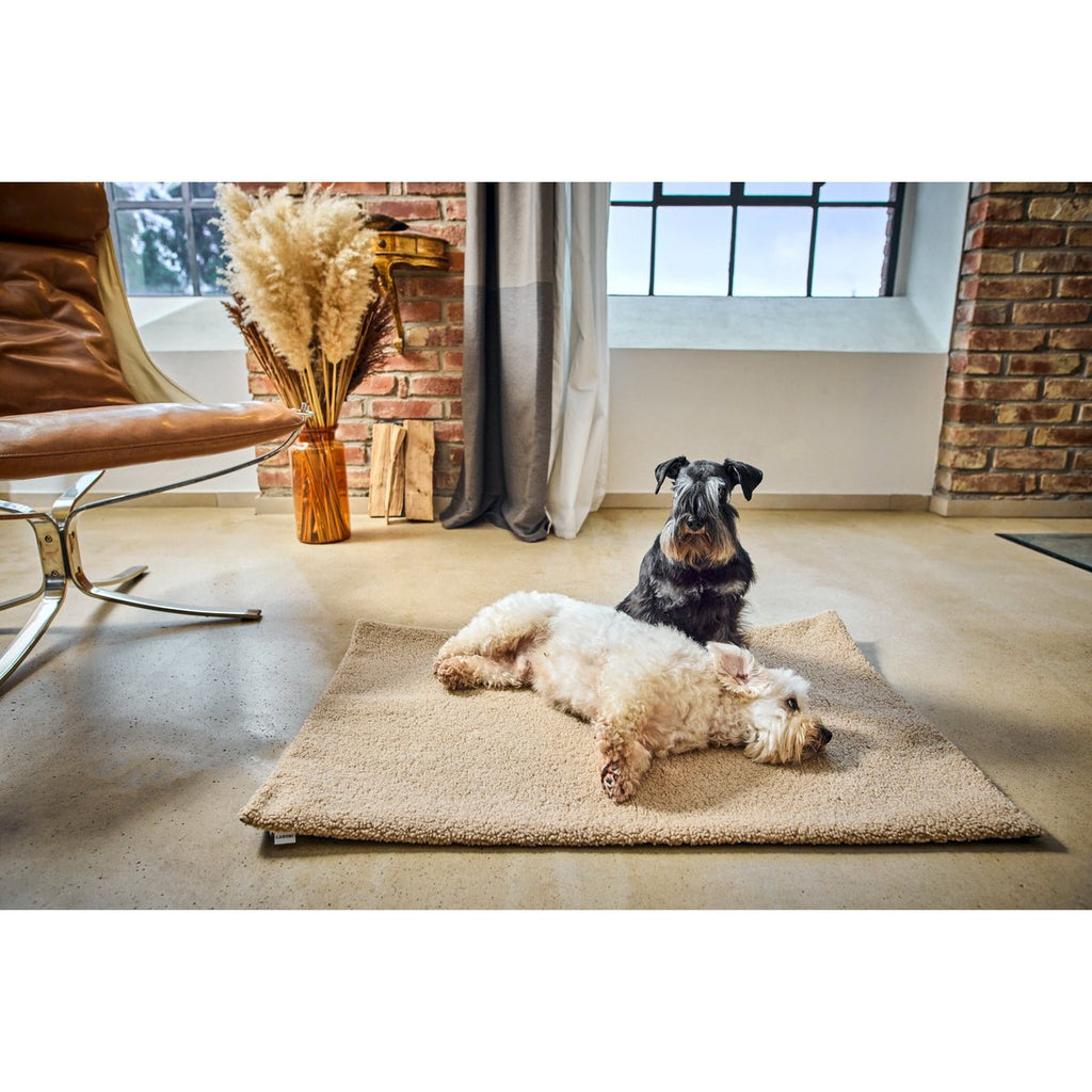 TEDDY | Multifunctioneel Deken - Cream