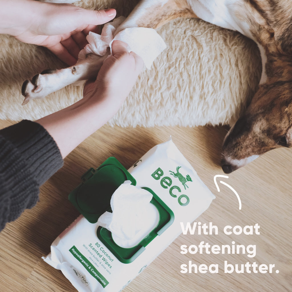 BECO | Bamboo Dog Wipes - Coconut Scented - 80 Pack
