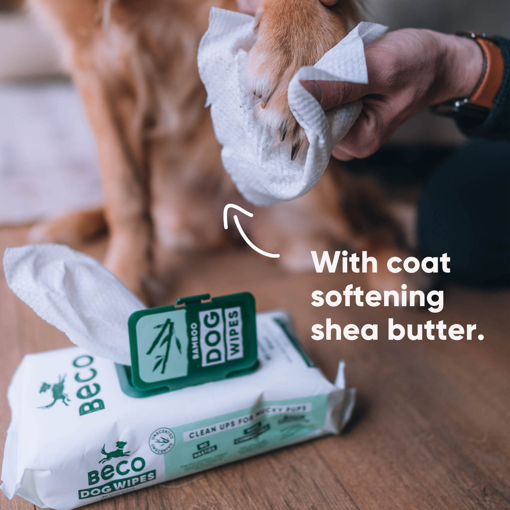 BECO | Bamboo Dog Wipes - Unscented - 80 Pack