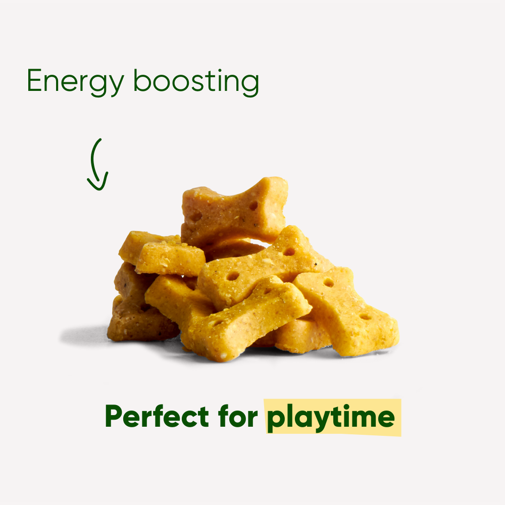 BECO | Treats - Peanut with Coconut & Turmeric