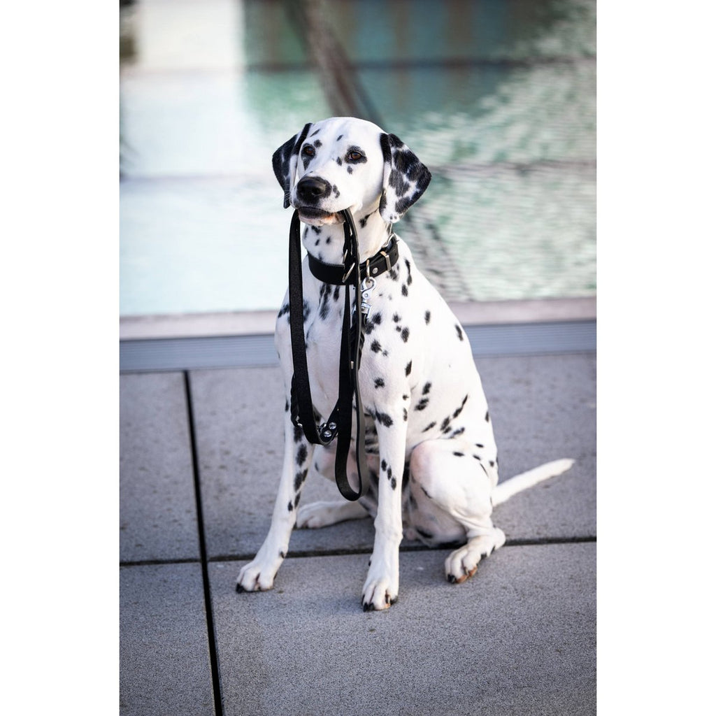 GIRO | Leren Halsband - Zwart