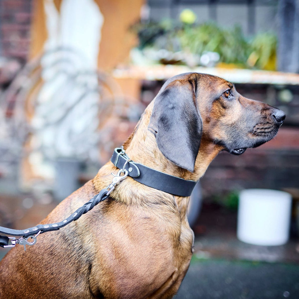 GIRO | Leren Halsband - Zwart