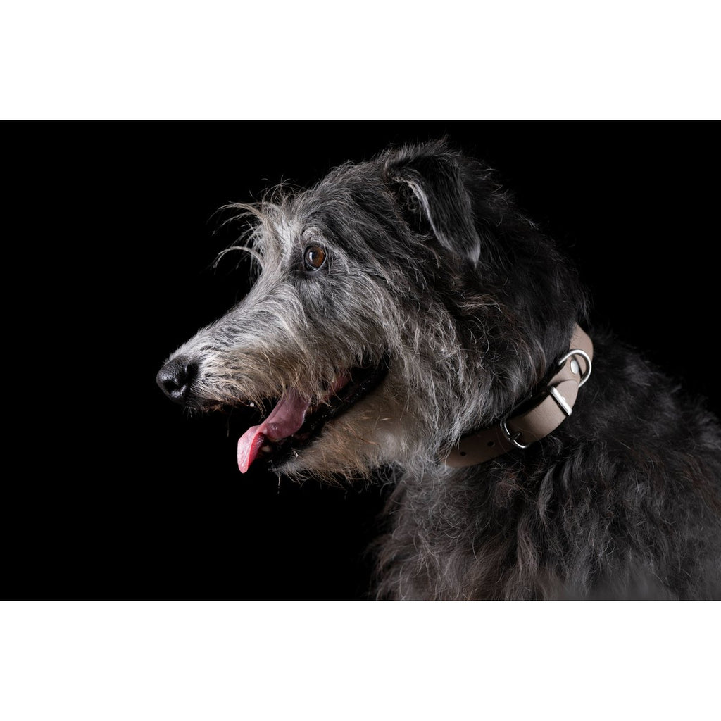GIRO | Leren Halsband - Grijs