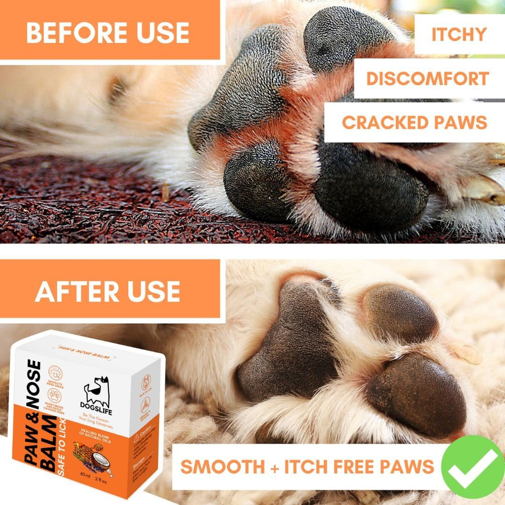 DOGSLIFE | Paw & Nose Balm