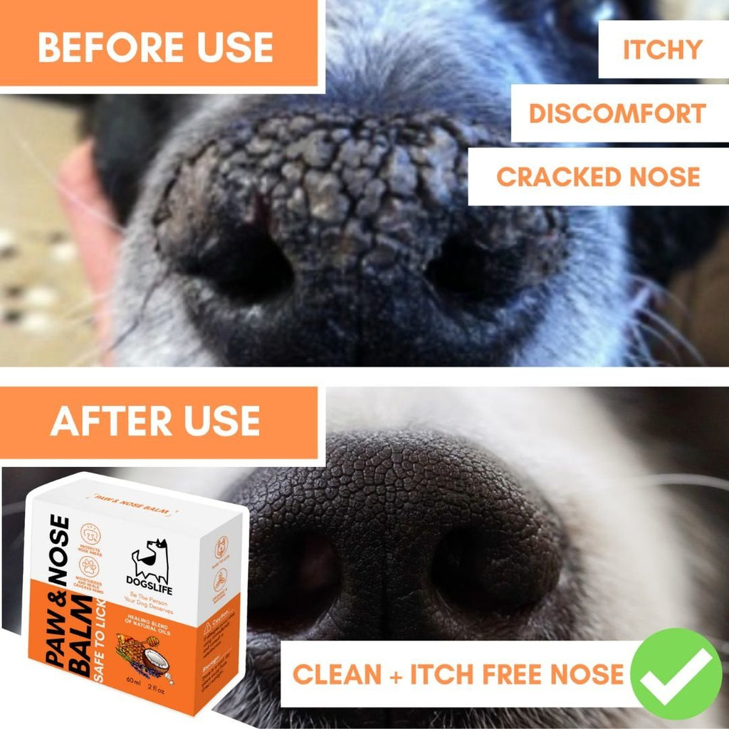 DOGSLIFE | Paw & Nose Balm