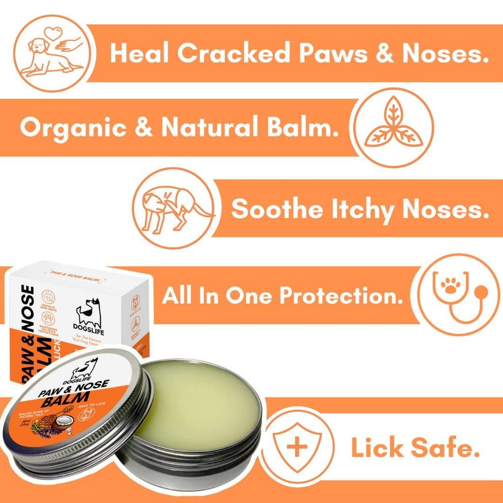 DOGSLIFE | Paw & Nose Balm