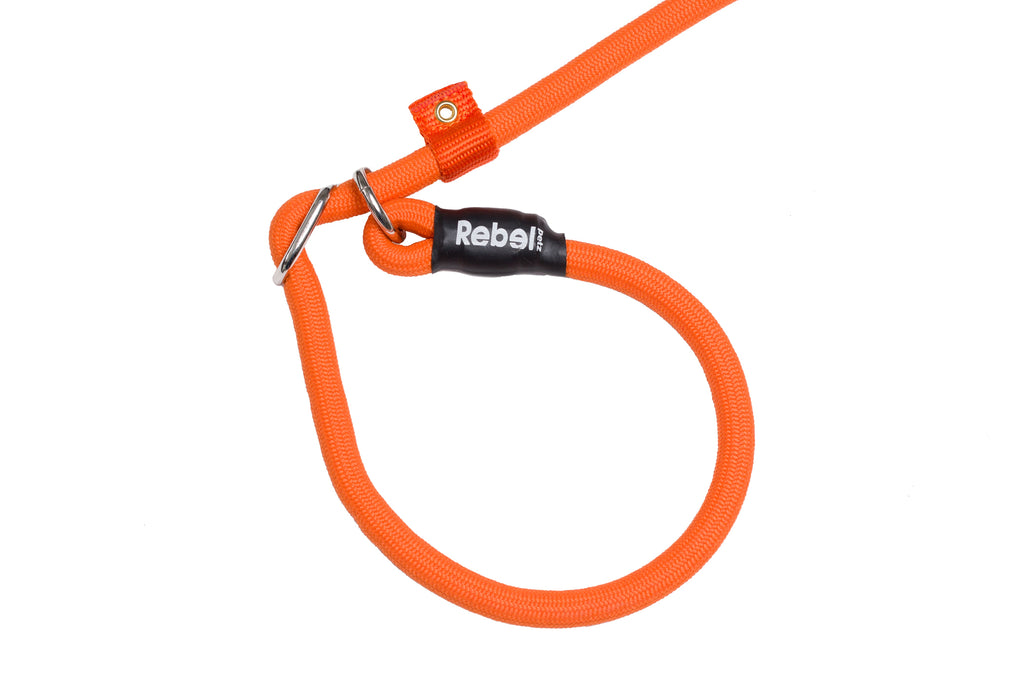 REBEL PETZ | Training Leash - Oranje