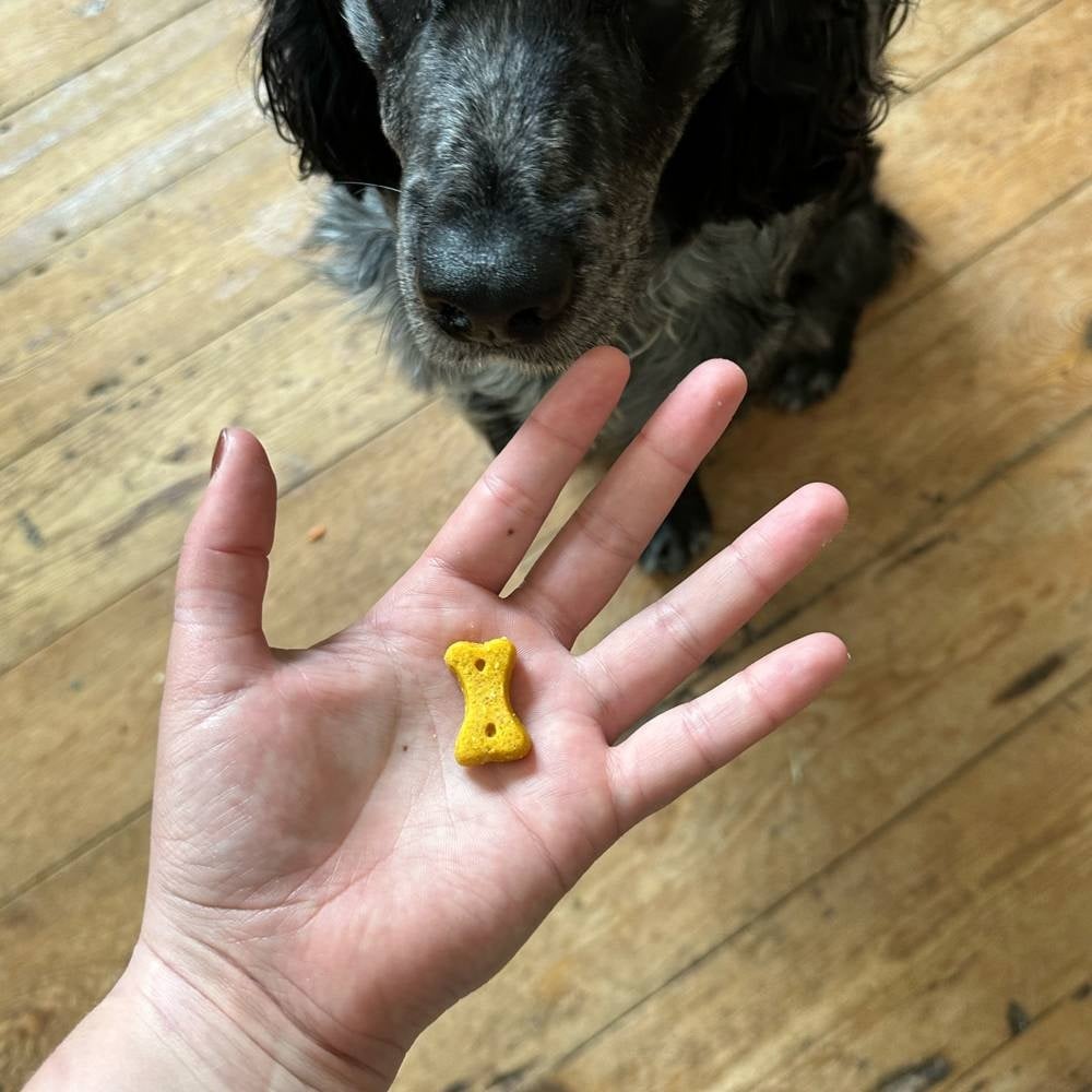 BECO | Treats - Peanut with Coconut & Turmeric