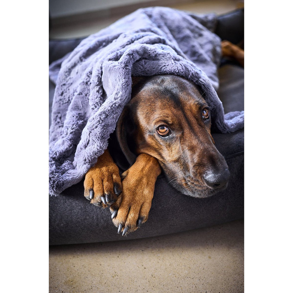 COSY | Deken - Stone