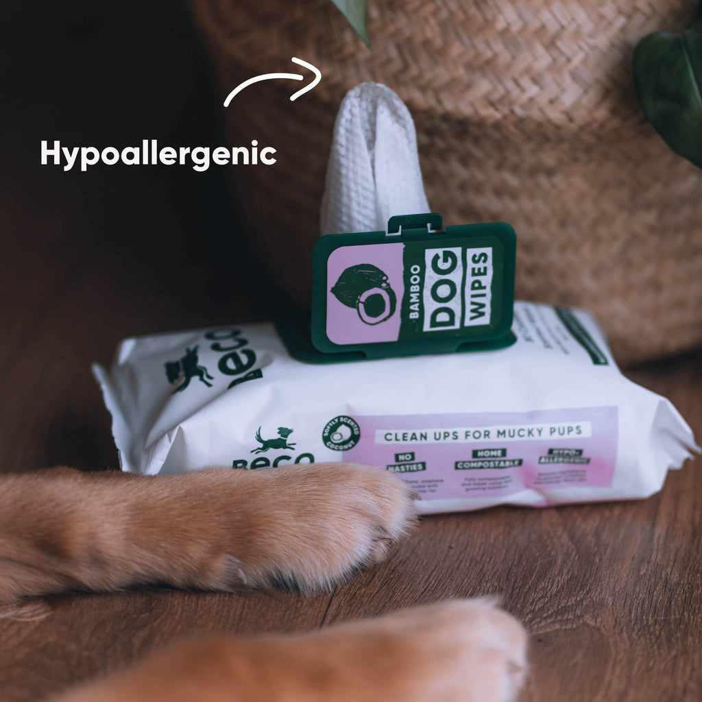 BECO | Bamboo Dog Wipes - Coconut Scented - 80 Pack