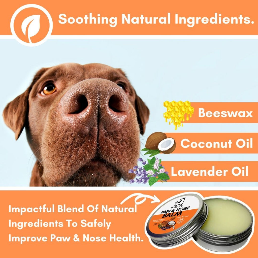 DOGSLIFE | Paw & Nose Balm