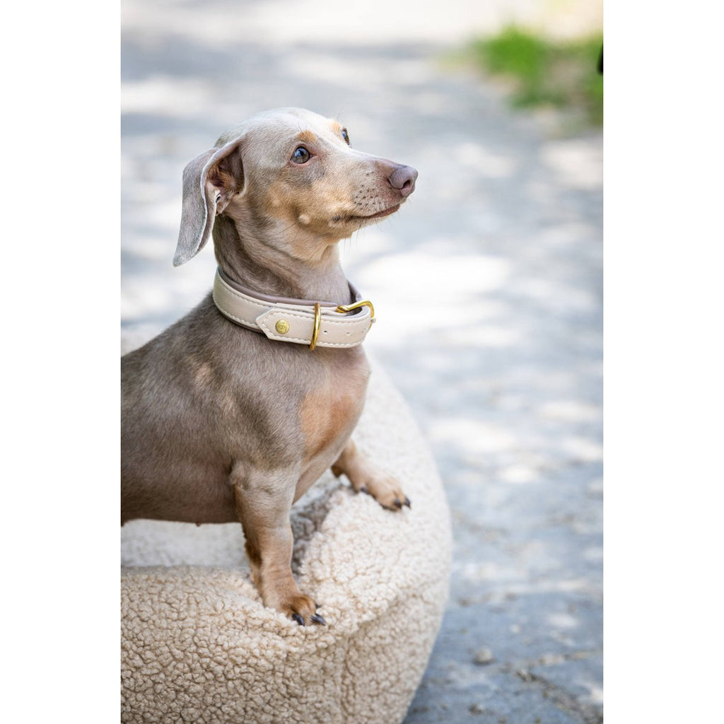 AMICI | Nappa Halsband - Ivory