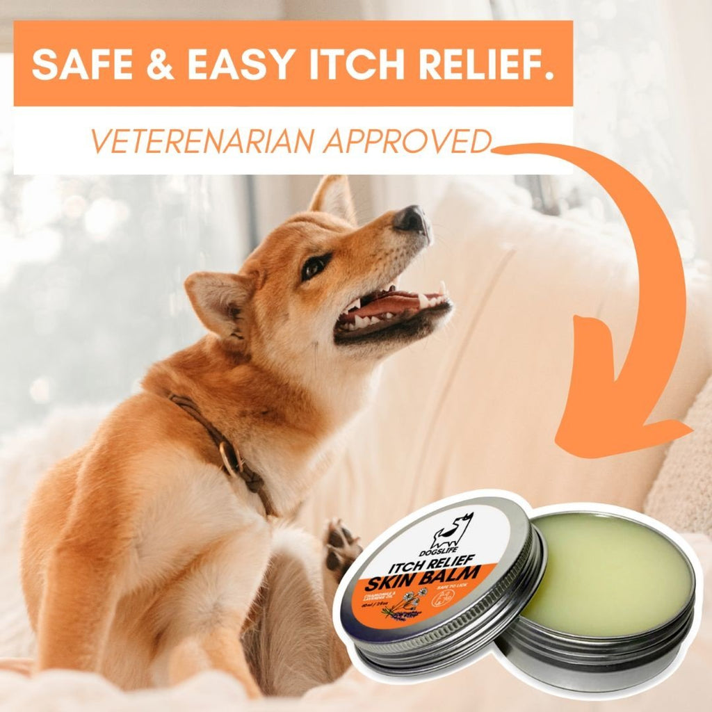 DOGSLIFE | Itch Relief Skin Balm