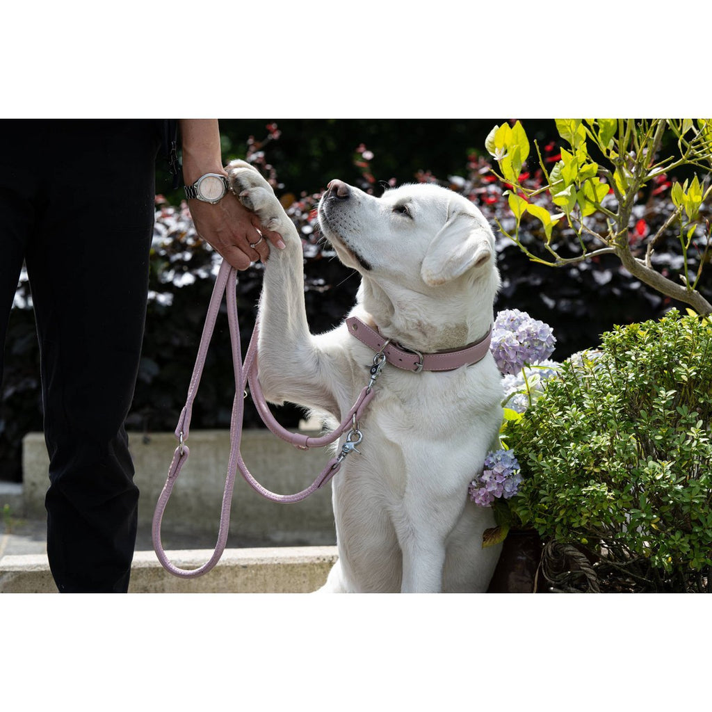 AMICI | Nappa Halsband - Rose