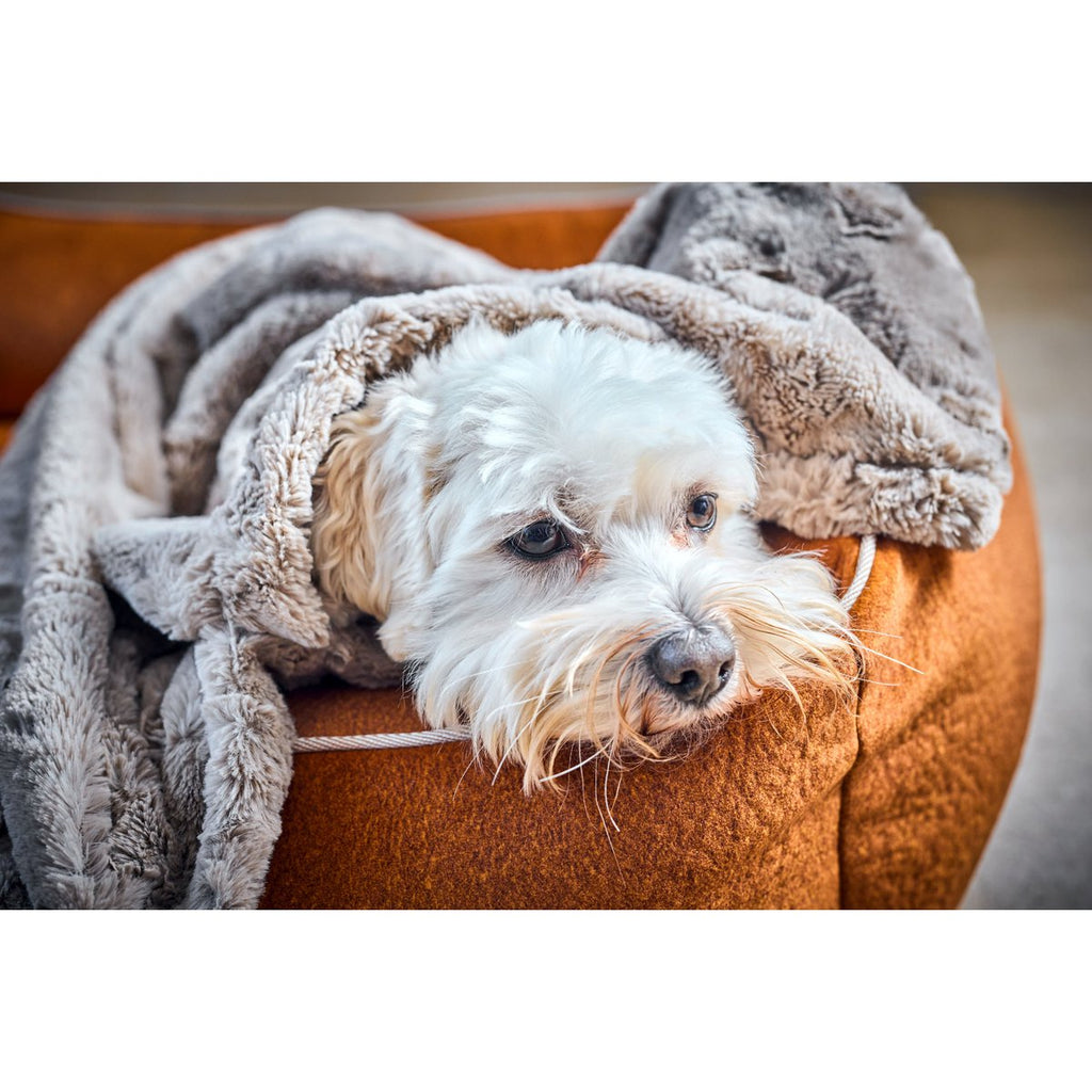 COSY | Deken - Beige