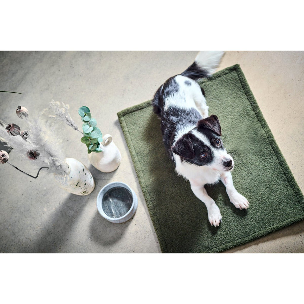TEDDY | Multifunctioneel Deken - Groen