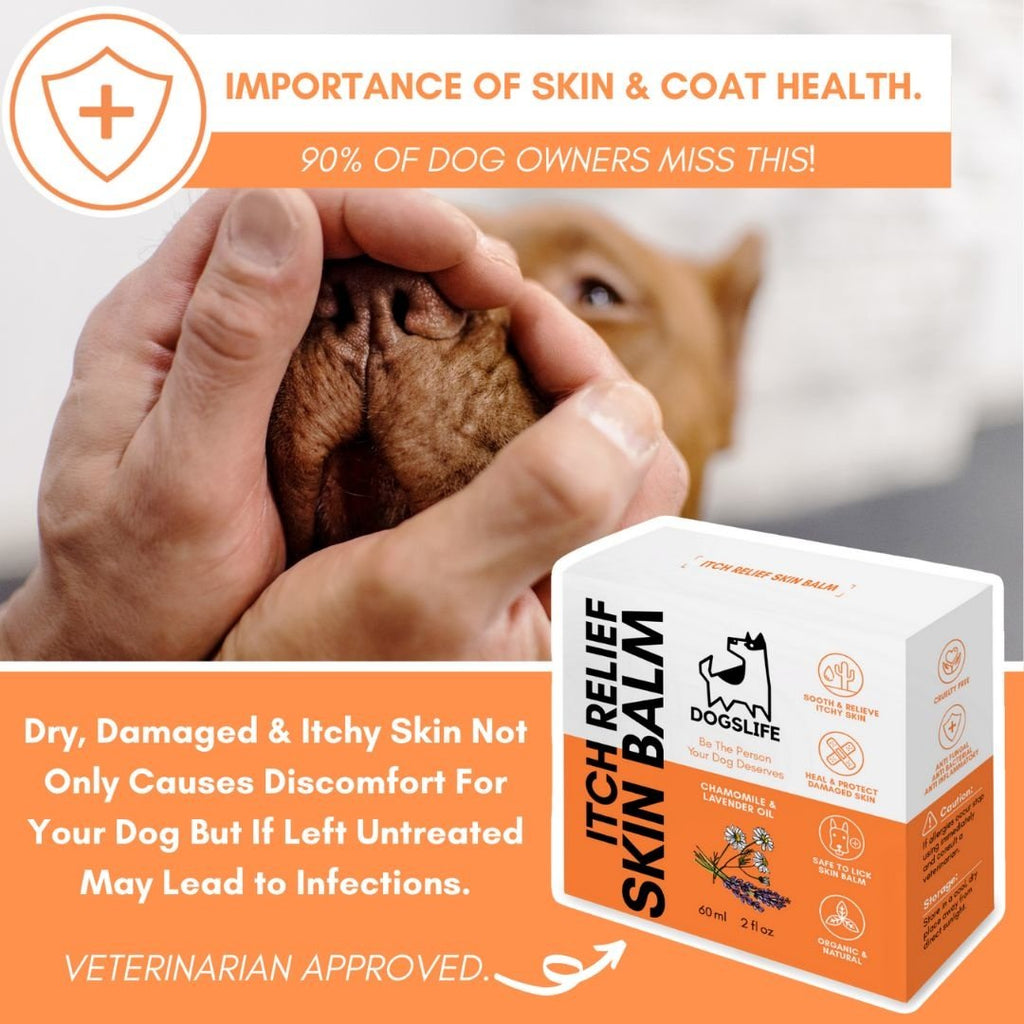 DOGSLIFE | Itch Relief Skin Balm