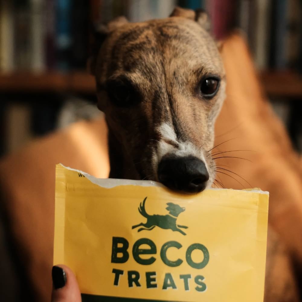BECO | Treats - Peanut with Coconut & Turmeric