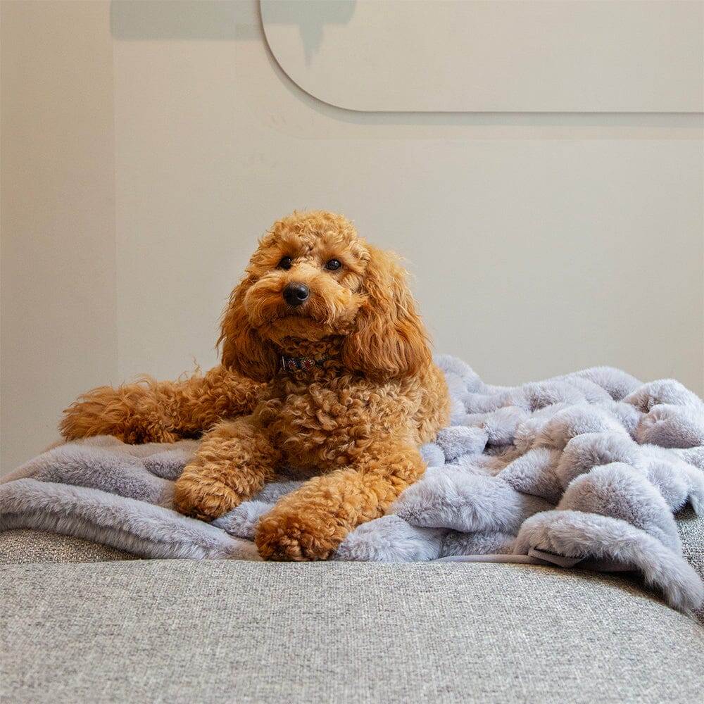 SCRUFFS | Aspen Blanket – Grijs