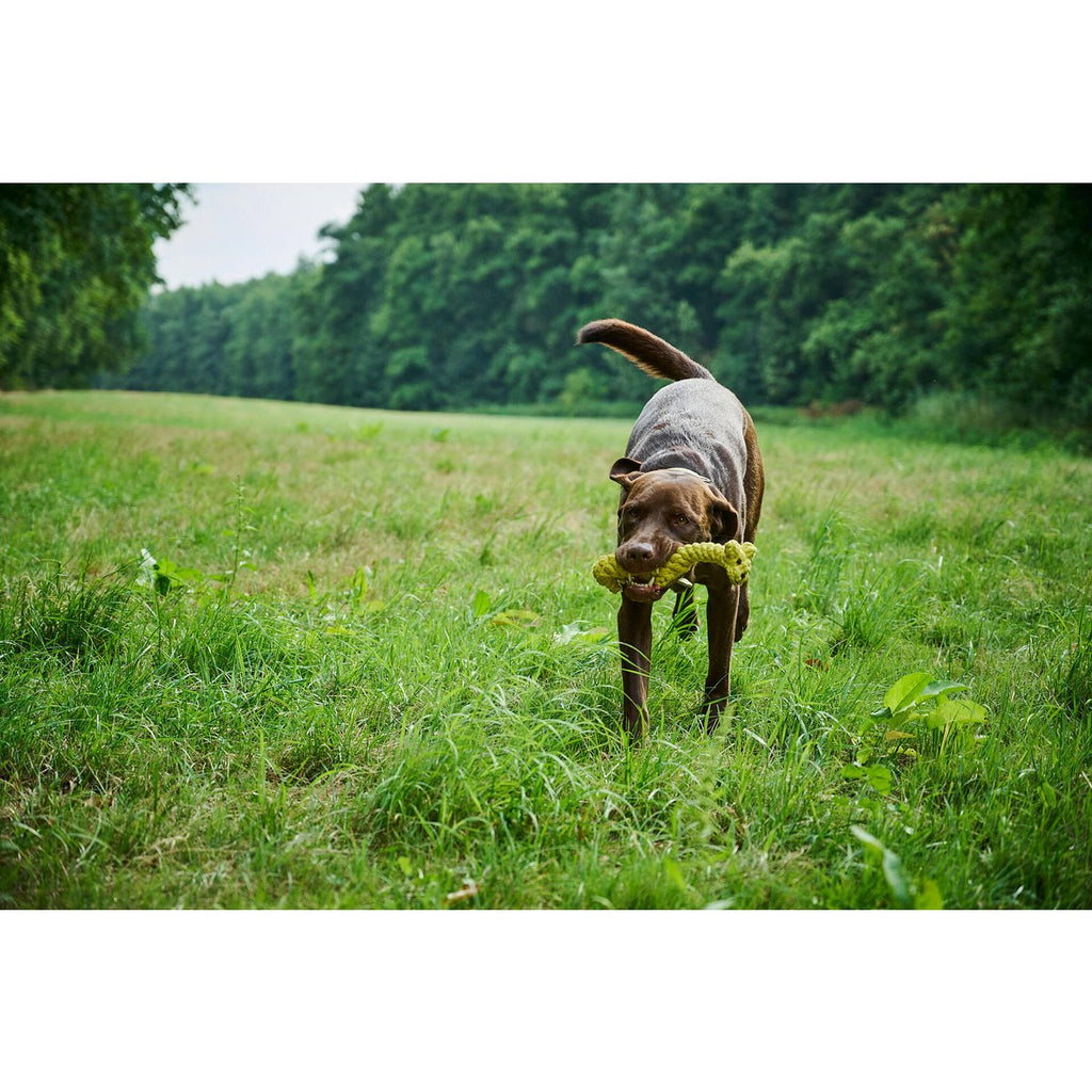 Greta Giraffe