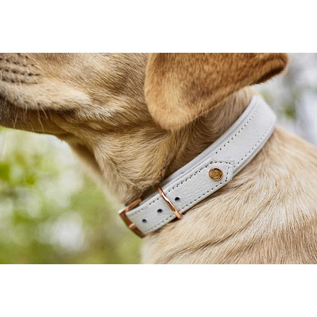 AMICI | Nappa Halsband - Lichtgrijs