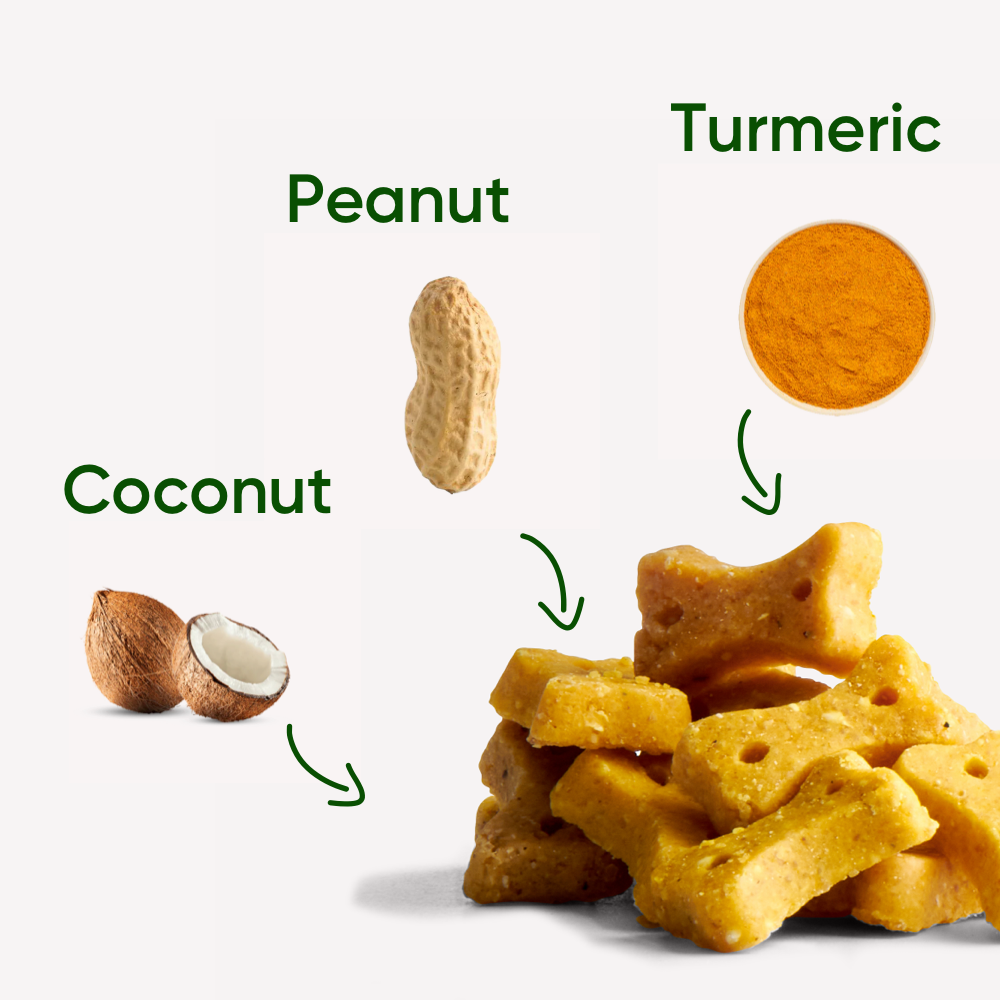 BECO | Treats - Peanut with Coconut & Turmeric