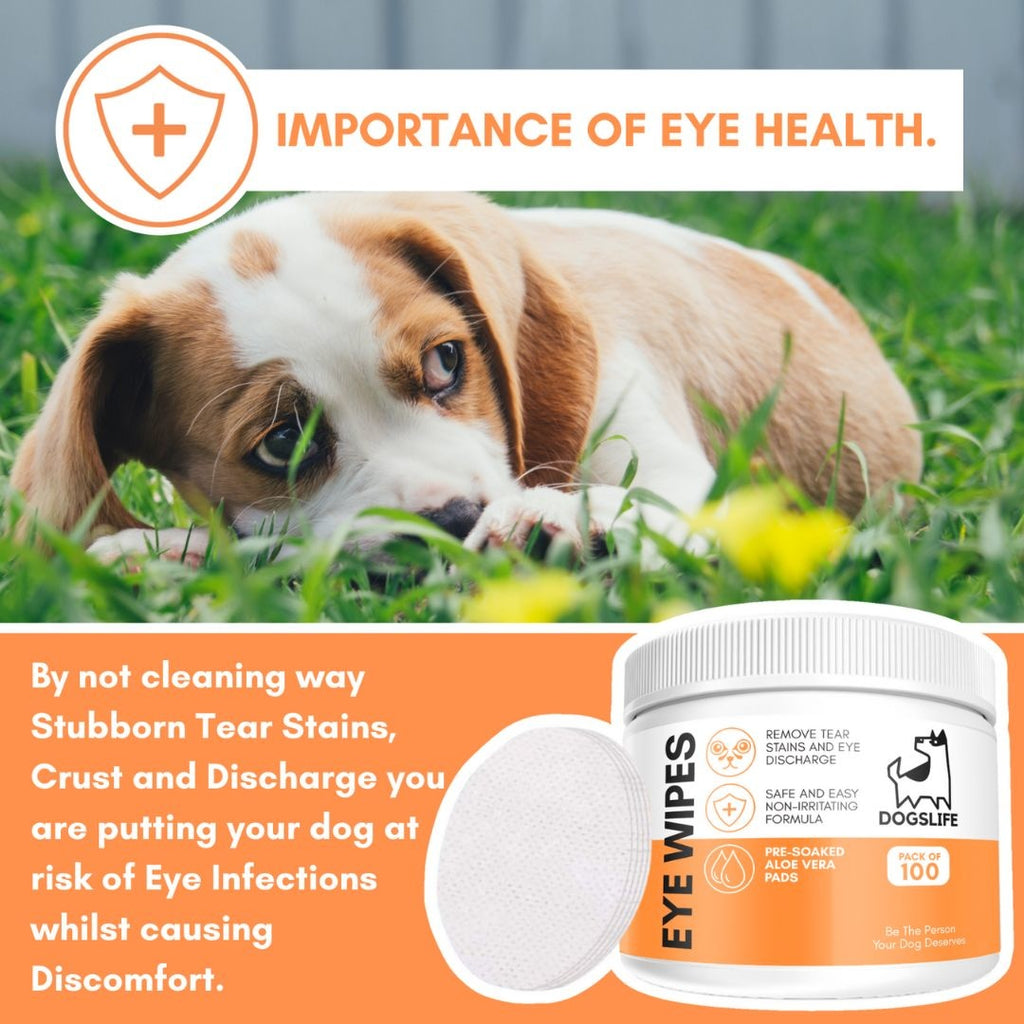 DOGSLIFE | Eye Wipes