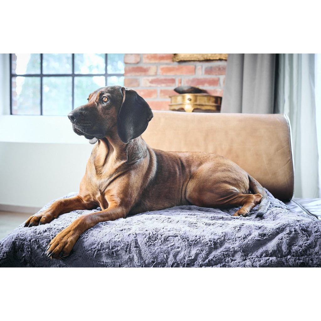 COSY | Deken - Stone